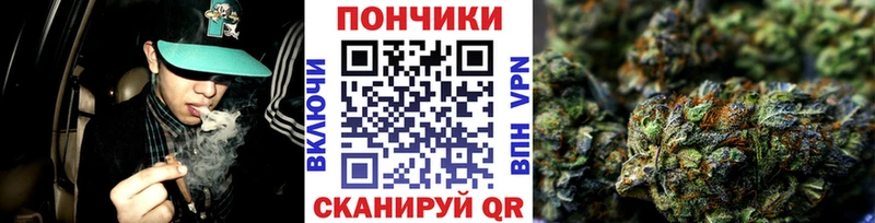 Конопля Amnesia  Купить  Анапа 